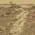 Moy Sand and Gravel