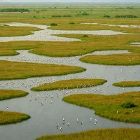 Momoge Nature Reserve