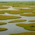 Momoge Nature Reserve