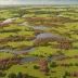 Morden Bog