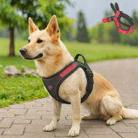 MyliveLab Dog Harness