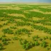 Mongolian-Manchurian Forest Steppe