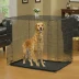 MidWest Homes for Pets Life Stages Double Door Dog Crate
