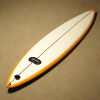 McTavish Surfboards 6'6" Fish Surfboard