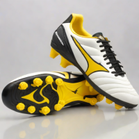 Mizuno Morelia Neo IN
