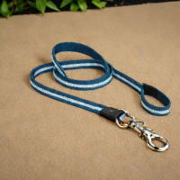 Max and Lily Reflective Dog Leash