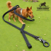 Manners Direct Dog Leash