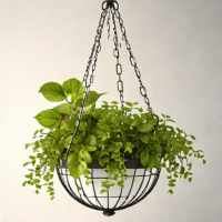 Metal Wire Hanging Basket