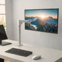 Mount-It! Single Monitor Arm