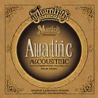 Martin Authentic Acoustic SP 700 Strings