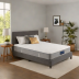 Memory Foam Folding Mattress by Sleep Luxe