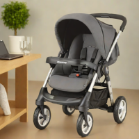 Maxi-Cosi Axi Pro