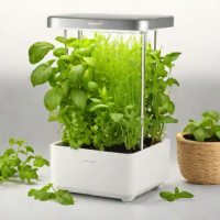 MyMiniGarden Herb Garden Kit