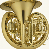 Meinl Weston 7164