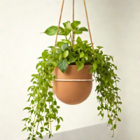 Modern Sprout Hanging Planter - TerraCotta