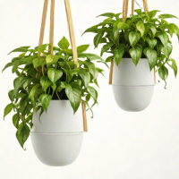 Mr. Stacky Hanging Planter