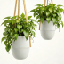 Mr. Stacky Hanging Planter