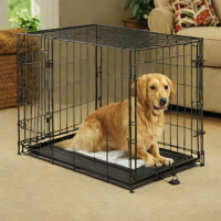 MidWest Homes for Pets 22" iCrate