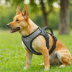 MUMUPET Dog Harness