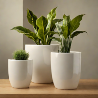 Modern Ceramic Planter - Various Sizes