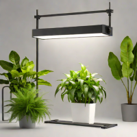 Mastor Grow Light