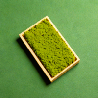 MatchaBar - Ceremonial Grade