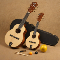 Myaudio Mandolin Set