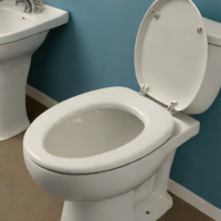 Mayfair Slow-Close Toilet Seat