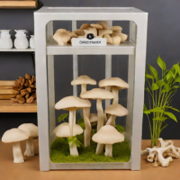MyMush Oyster Mushroom Grow Kit