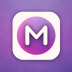 MindMeister Pro