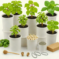 Mr. Stacky Seed Starter Kit