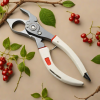 MR.T Pruning Shears