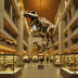 Natural History Museum of Utah