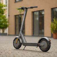 Ninebot Max G30P II