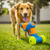 Nerf Dog Tennis Ball Blaster