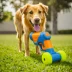 Nerf Dog Tennis Ball Blaster