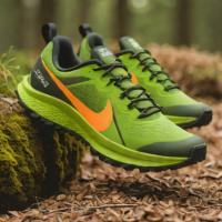 Nike Pegasus Trail 4 GTX