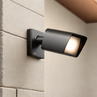 Netatmo Smart Outdoor Floodlight Camera