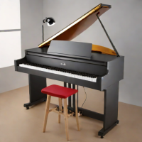 Nord Piano Workstation (e.g., Nord Piano 3)