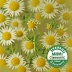 Numi Organic Chamomile Lemon