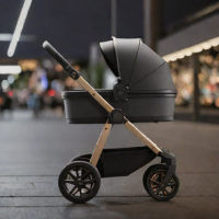 Nuna MIXX Stroller