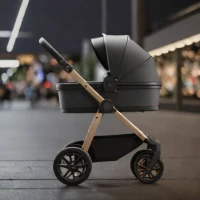 Nuna MIXX Stroller