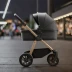 Nuna MIXX Stroller