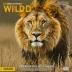 National Geographic: Wild