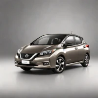 Nissan LEAF Midnight Edition