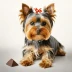 Nestle Yorkie Original