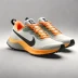 Nike Pegasus Trail 5 GORE-TEX