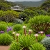 National Botanical Garden of South Africa Harold Porter