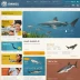 Nihongo Shark