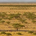 Northern Tuli Savanna